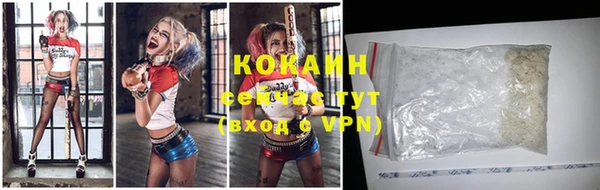 кокс Вяземский