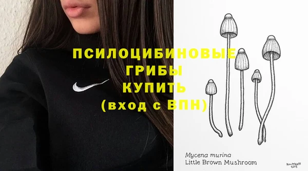 ECSTASY Бородино