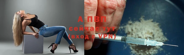 стафф Верхний Тагил