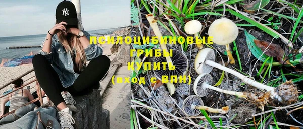 мескалин Верея