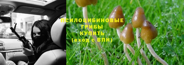 мескалин Верея